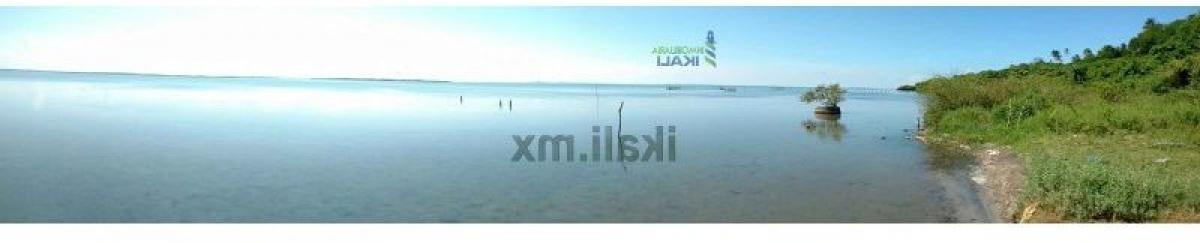  Land in Veracruz, Mexico No. 203213