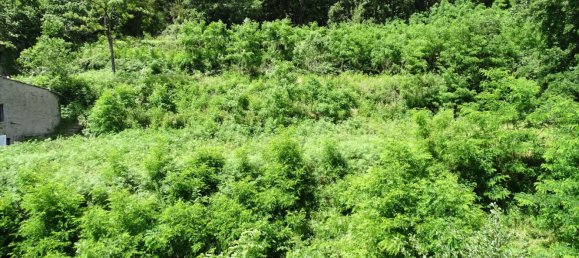 10-Zimmer Haus in Sestri Levante, Italy, Nr. 179718 5