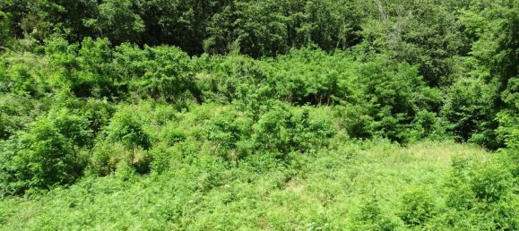 10-Zimmer Haus in Sestri Levante, Italy, Nr. 179718 12