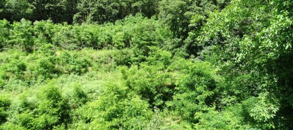 10-Zimmer Haus in Sestri Levante, Italy, Nr. 179718 8