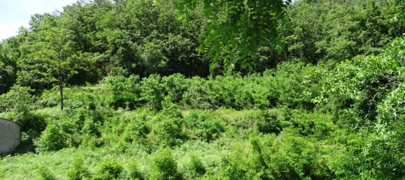 10-Zimmer Haus in Sestri Levante, Italy, Nr. 179718 14