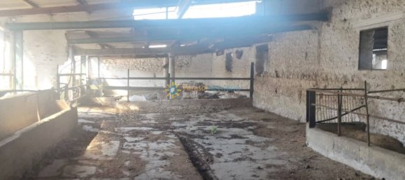 6 Schlafzimmer Haus in Bellreguard, Spain, Nr. 177255 2