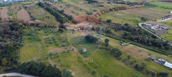 Terreno em Tomar, Portugal 44000 m² N.º 71220 13