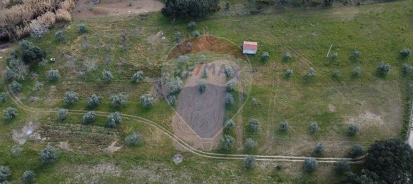 Terreno em Tomar, Portugal 44000 m² N.º 71220 7