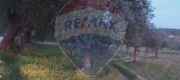 Terreno em Tomar, Portugal 44000 m² N.º 71220 3