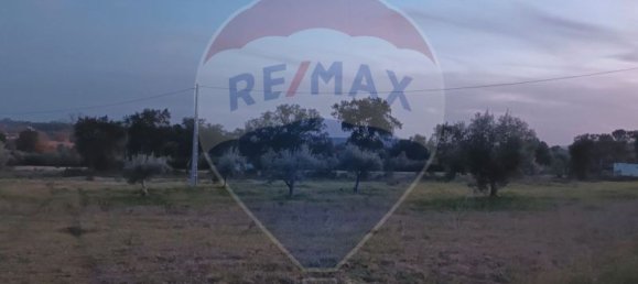 Terreno em Tomar, Portugal 44000 m² N.º 71220 4