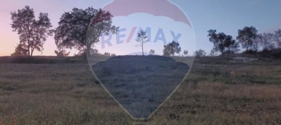 Terreno em Tomar, Portugal 44000 m² N.º 71220 2