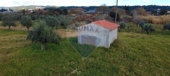 Terreno em Tomar, Portugal 44000 m² N.º 71220 8