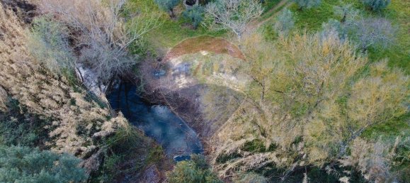 Terreno em Tomar, Portugal 44000 m² N.º 71220 9