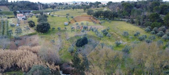 Terreno em Tomar, Portugal 44000 m² N.º 71220 12