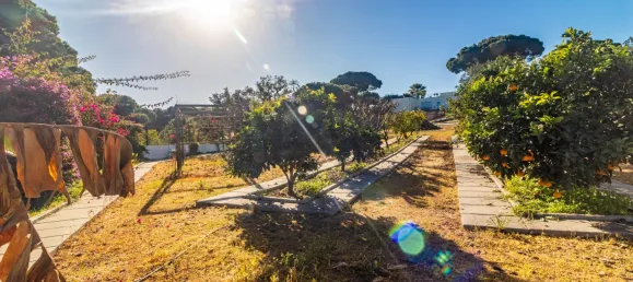 3 bedrooms House in Almancil, Portugal No. 102403 45