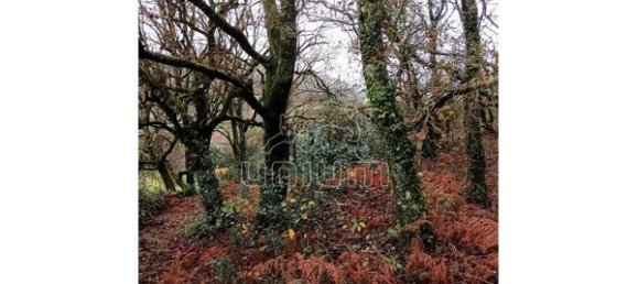 779m² Land in Viana do Castelo, Portugal No. 80720 4