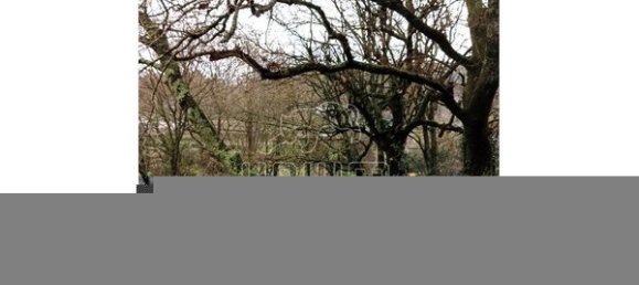 779m² Land in Viana do Castelo, Portugal No. 80720 6