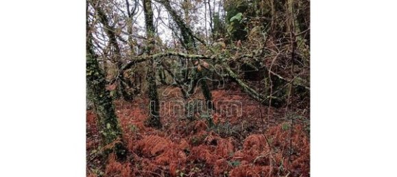 779m² Land in Viana do Castelo, Portugal No. 80720 3