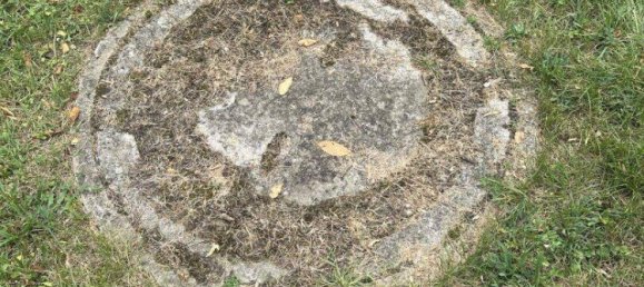 Grundstück in St. Egyden am Steinfeld, Austria, Nr. 247698 4