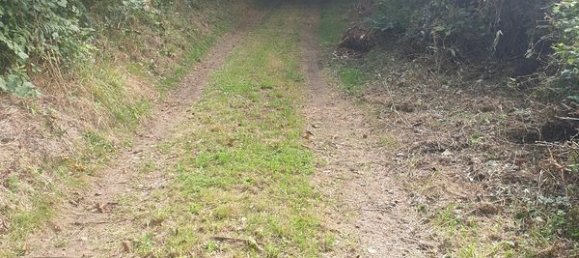 4 chambres Maison à Préveranges, France No. 245214 11