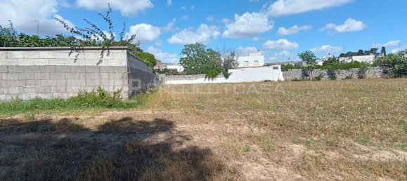 2319m² Land in Uggiano la Chiesa, Italy No. 148839 4