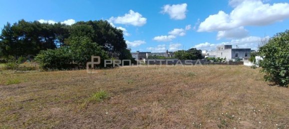 2319m² Land in Uggiano la Chiesa, Italy No. 148839 8