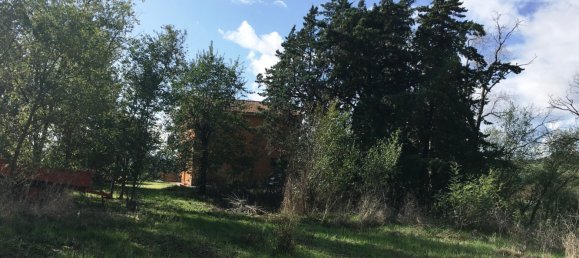 2 bedrooms Villa in Scansano, Italy No. 112367 8