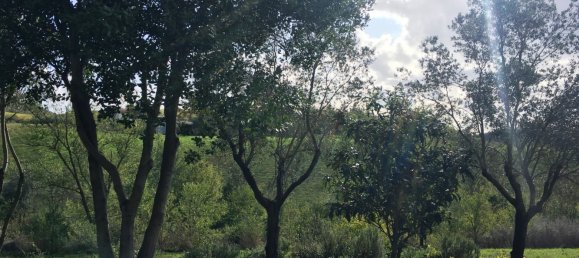 2 bedrooms Villa in Scansano, Italy No. 112367 18