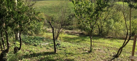 2 bedrooms Villa in Scansano, Italy No. 112367 16