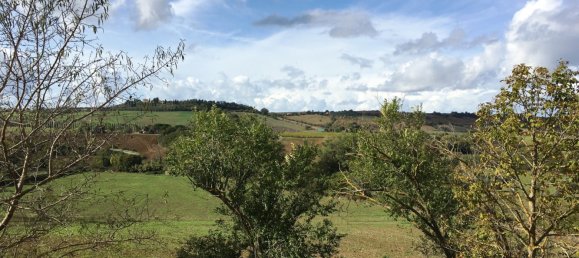 2 bedrooms Villa in Scansano, Italy No. 112367 19