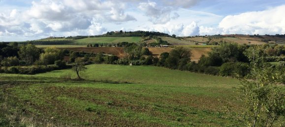 2 bedrooms Villa in Scansano, Italy No. 112367 3