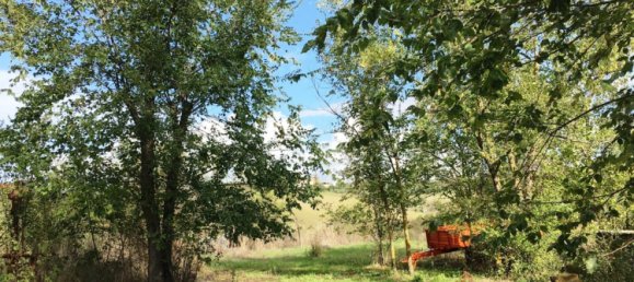 2 bedrooms Villa in Scansano, Italy No. 112367 6