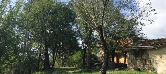 2 bedrooms Villa in Scansano, Italy No. 112367 7