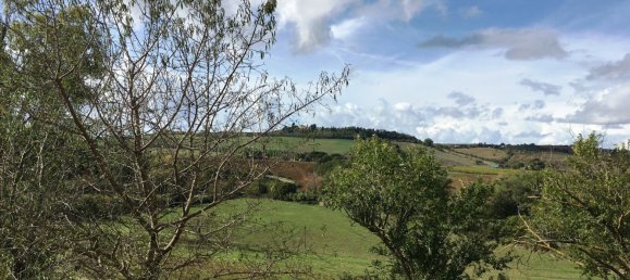 2 bedrooms Villa in Scansano, Italy No. 112367 15