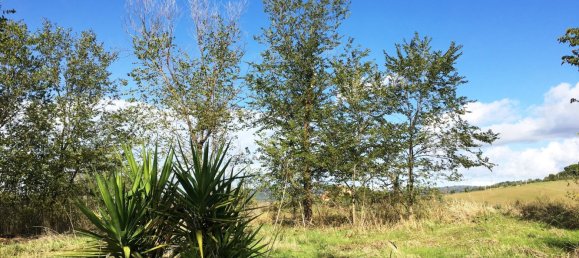 2 bedrooms Villa in Scansano, Italy No. 112367 9