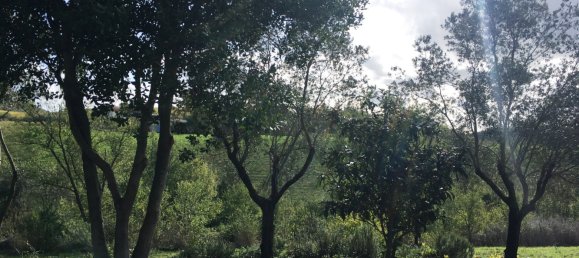 2 bedrooms Villa in Scansano, Italy No. 112367 13