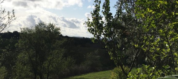 2 bedrooms Villa in Scansano, Italy No. 112367 10