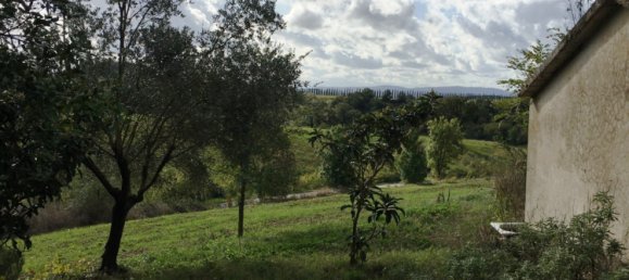 2 bedrooms Villa in Scansano, Italy No. 112367 5