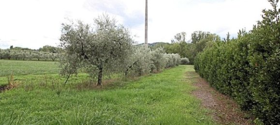 7 rooms Villa in Terricciola, Italy No. 215343 26