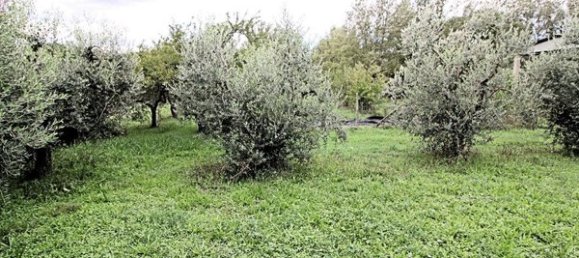 7 rooms Villa in Terricciola, Italy No. 215343 24