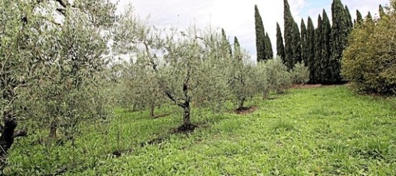 7 rooms Villa in Terricciola, Italy No. 215343 27