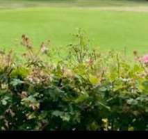 Grundstück in Kaiserslautern, Germany, Nr. 237510