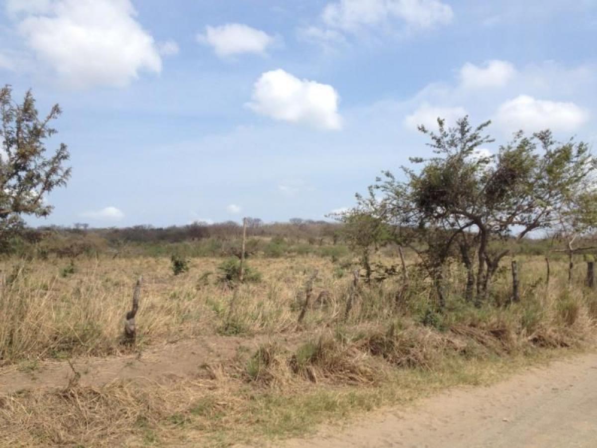  Land in Veracruz, Mexico No. 205393