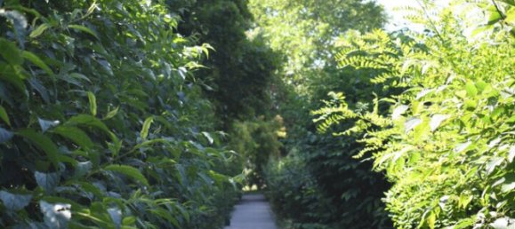 Apartamento de 4 habitaciónes en Wiener Neudorf, Austria No. 170243 2