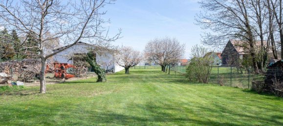 Apartamento de 9 habitaciónes en Nikitsch, Austria No. 54173 10