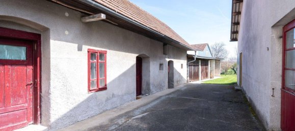 Apartamento de 9 habitaciónes en Nikitsch, Austria No. 54173 7