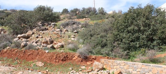 Hôtel à Agios Nikolaos, Greece 1770m² No. 5070 5