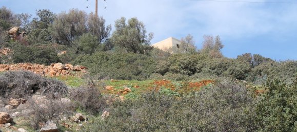 Hôtel à Agios Nikolaos, Greece 1770m² No. 5070 9