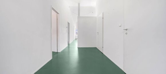 2 bedrooms Apartment in Worschach, Austria No. 139207 14