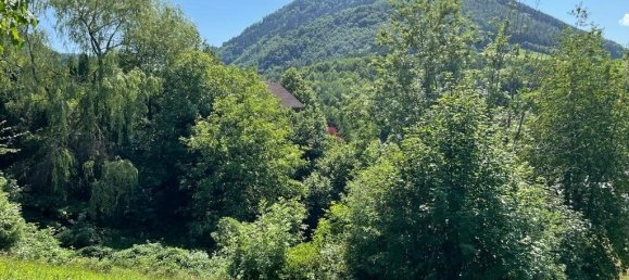 Terrain à Ybbsitz, Austria No. 132095 8