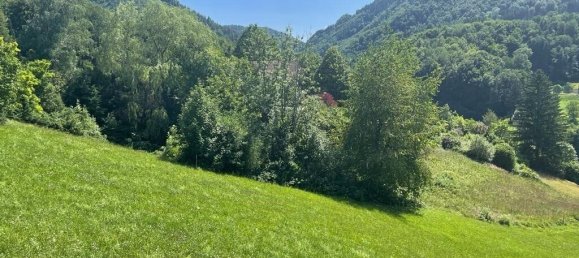 Terrain à Ybbsitz, Austria No. 132095 11