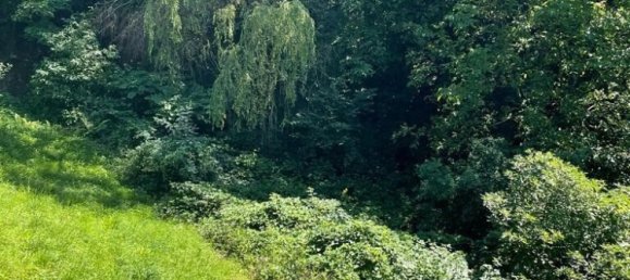 Terrain à Ybbsitz, Austria No. 132095 4