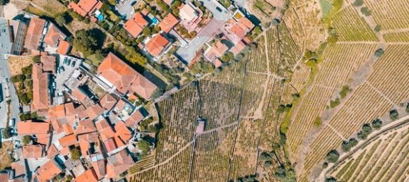 20000m² Land in Peso da Regua, Portugal No. 140767 5