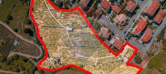 20000m² Land in Peso da Regua, Portugal No. 140767 11